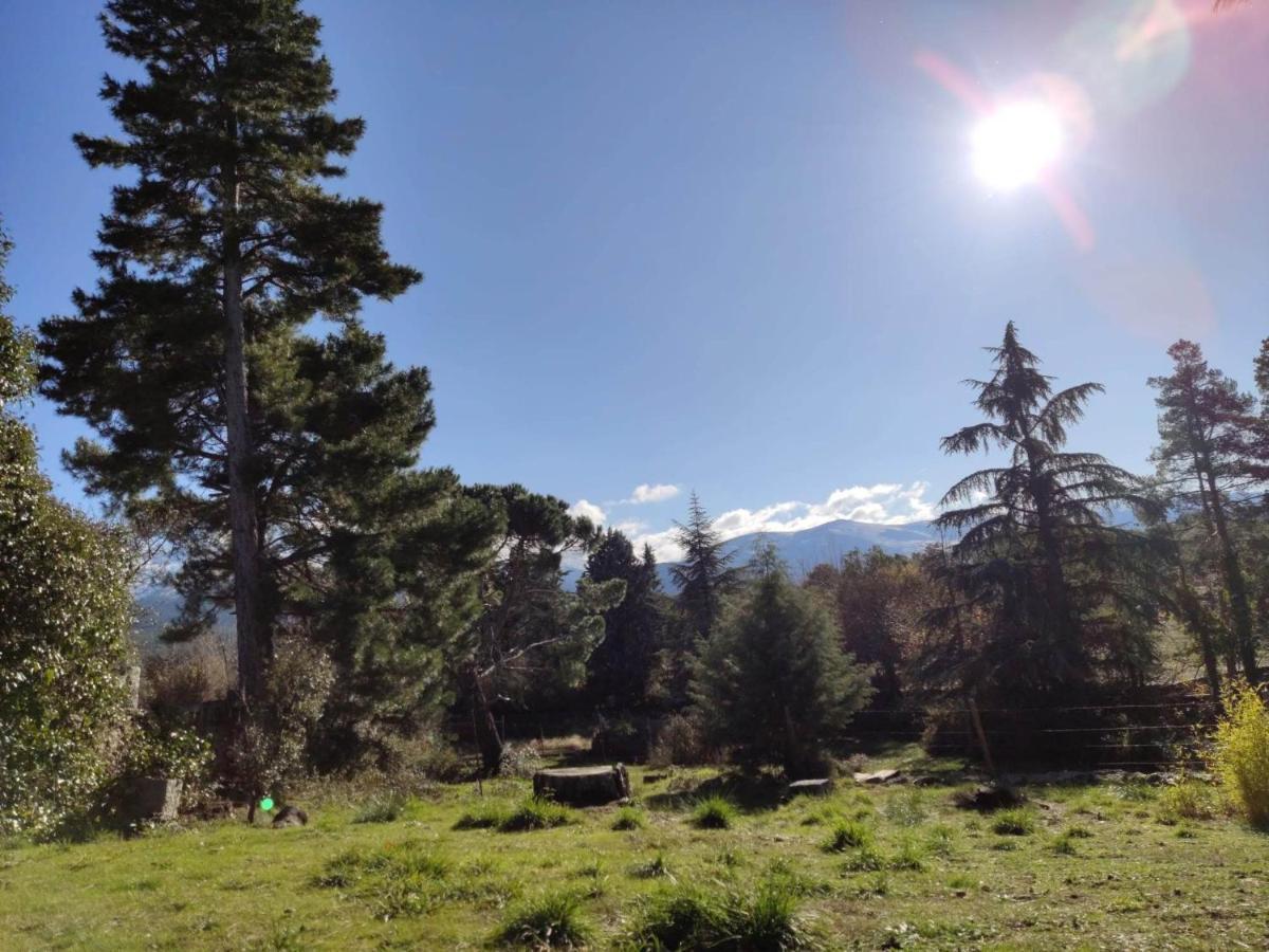 Navas de Riofrio Casa Rural El Pinarヴィラ エクステリア 写真
